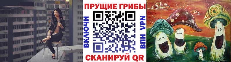 Псилоцибиновые грибы мухоморы  OMG ONION  Великий Устюг 