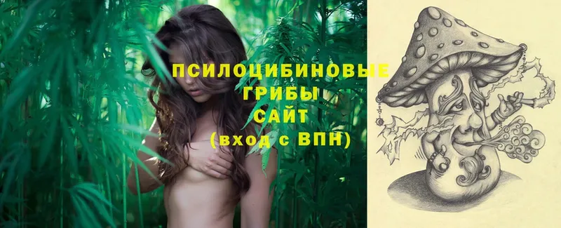 Псилоцибиновые грибы Psilocybe  blacksprut ССЫЛКА  Великий Устюг 