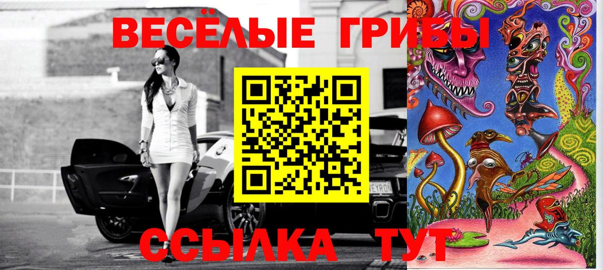 Галлюциногенные грибы MAGIC MUSHROOMS Великий Устюг