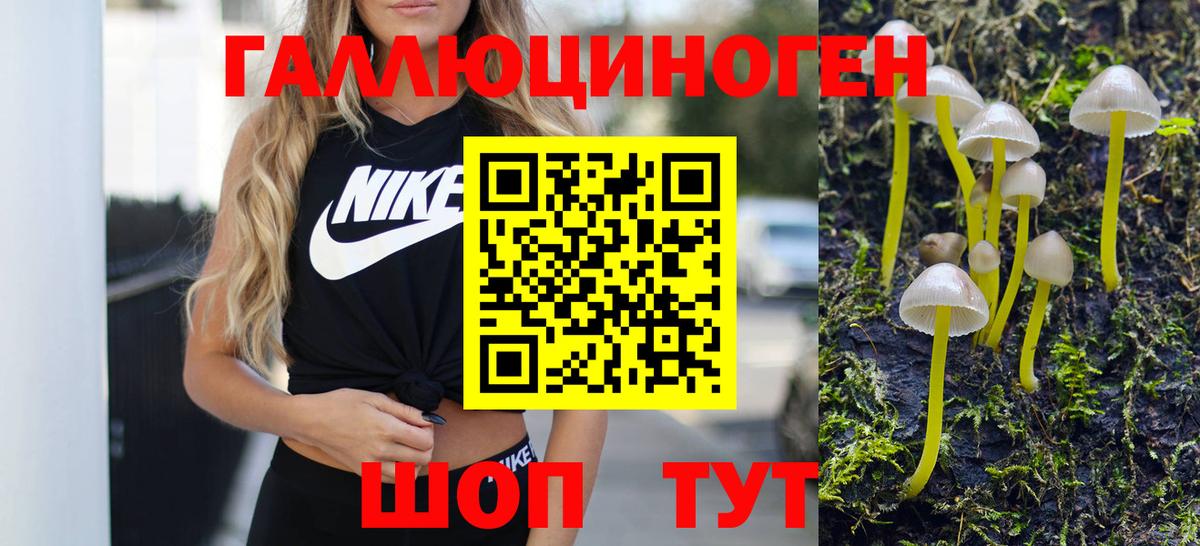 Галлюциногенные грибы Magic Shrooms Великий Устюг