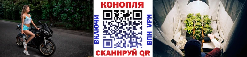 Канабис OG Kush Великий Устюг